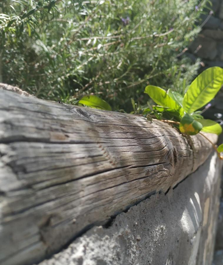 Finca La Ladera Valle Gran Rey Kültér fotó