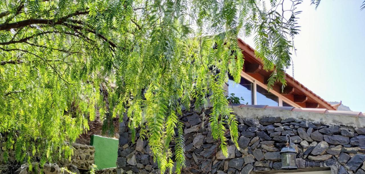 Finca La Ladera Valle Gran Rey Kültér fotó
